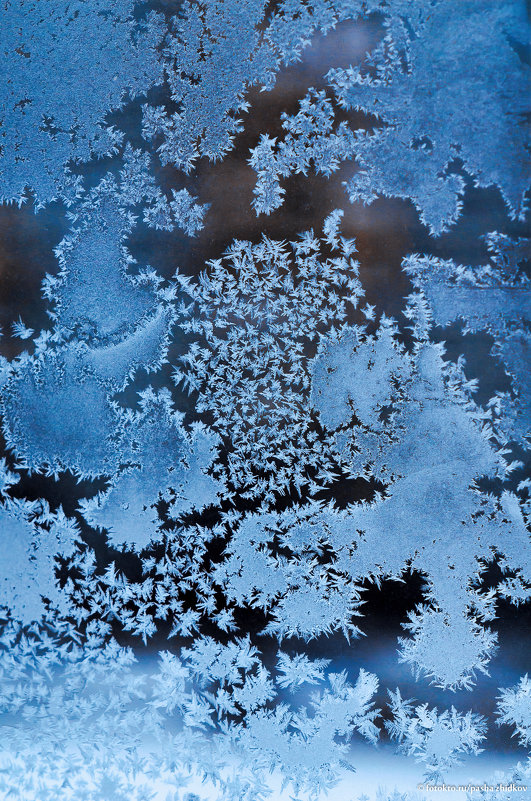 frost on the window - Pasha Zhidkov