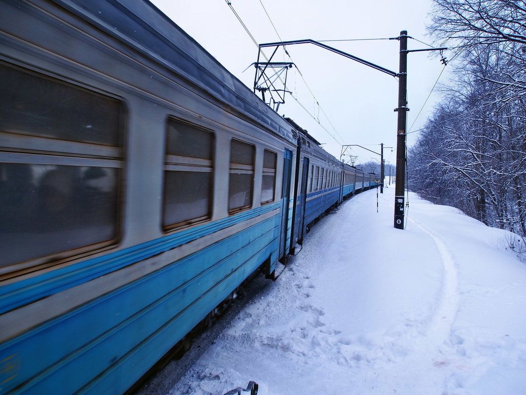 Экскурсия в Гадюкино зимой. Начало. (1) - Александр Резуненко
