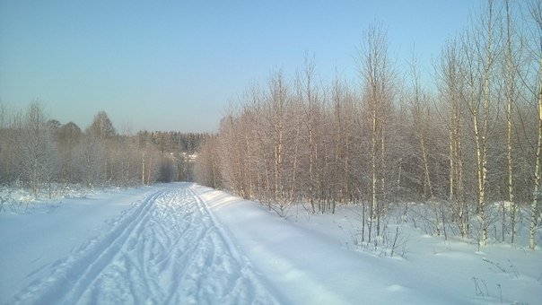 лыжная прогулка - юлия *****