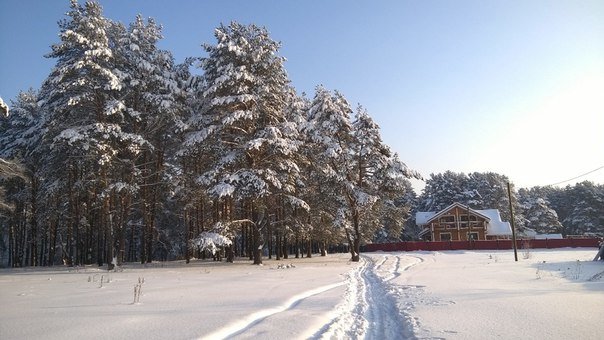 домик в лесу - юлия *****