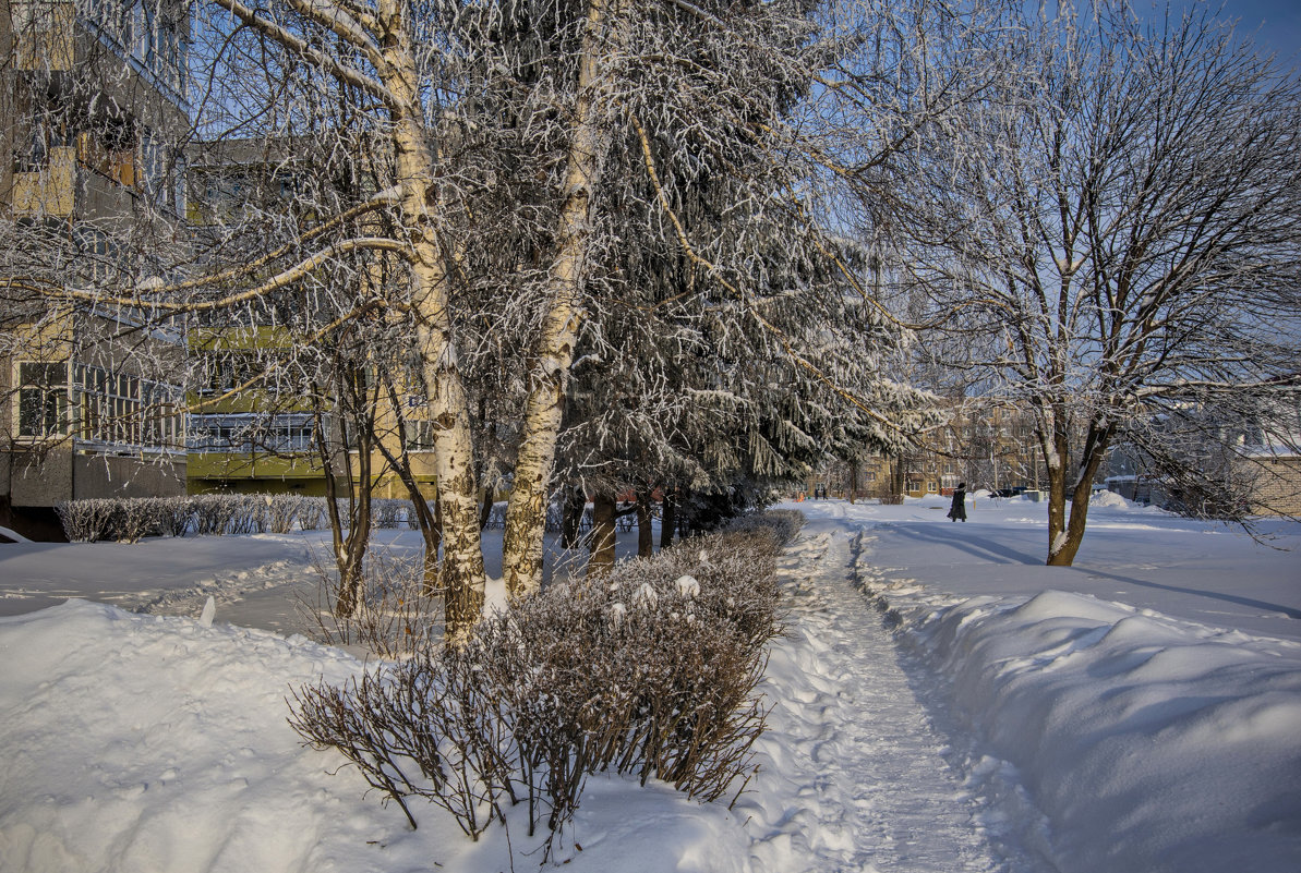 Зима в городе N - Владимир Макаров