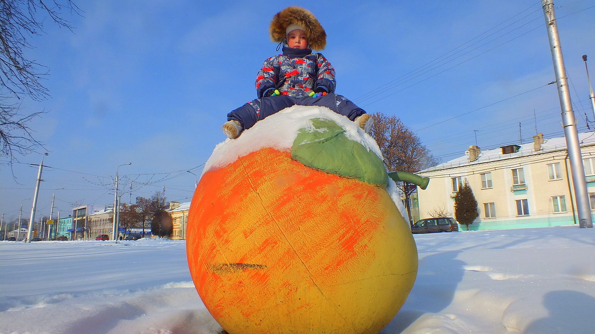 сидя на снегу на яблоке на снегу - Александр Прокудин