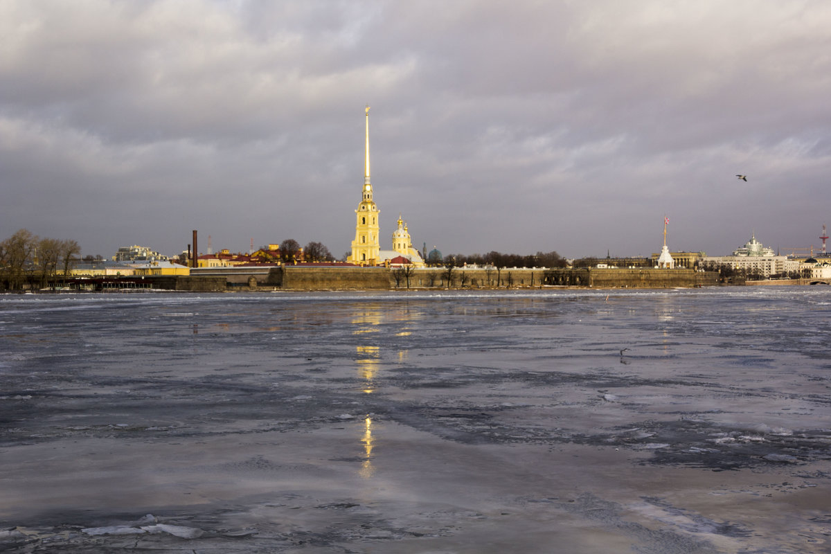 зимой река нева