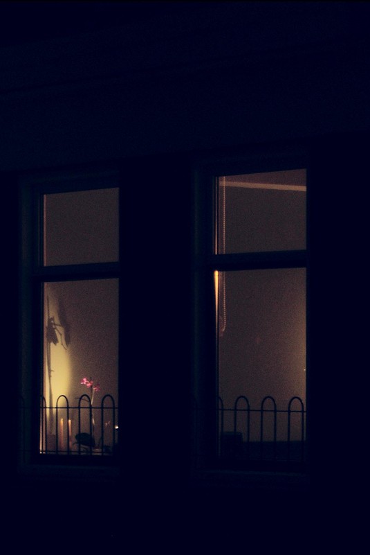 Windows of Amsterdam - Дмитрий Ланковский