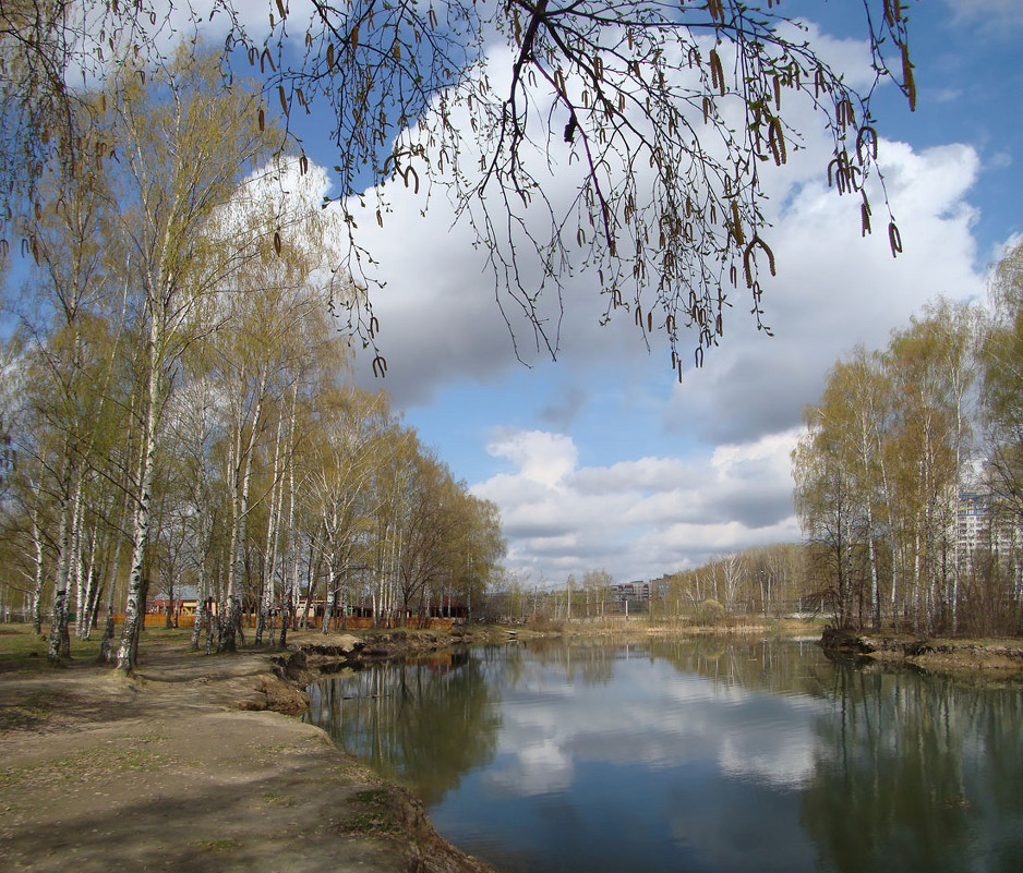 В парке городском - Альберт Беляев