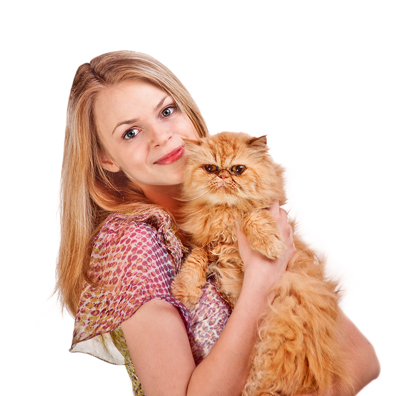 Девушка с рыжим котом - Анатолий Тимофеев