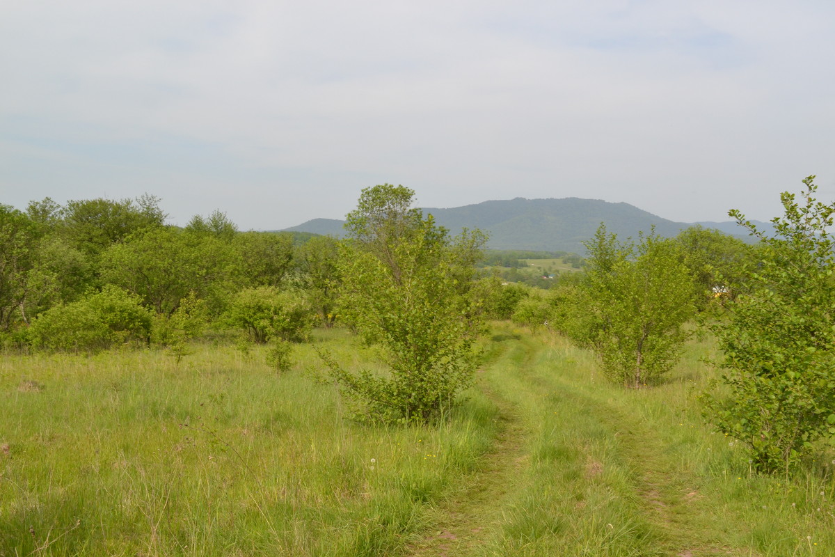 Дорога дальняя - Takulov. E