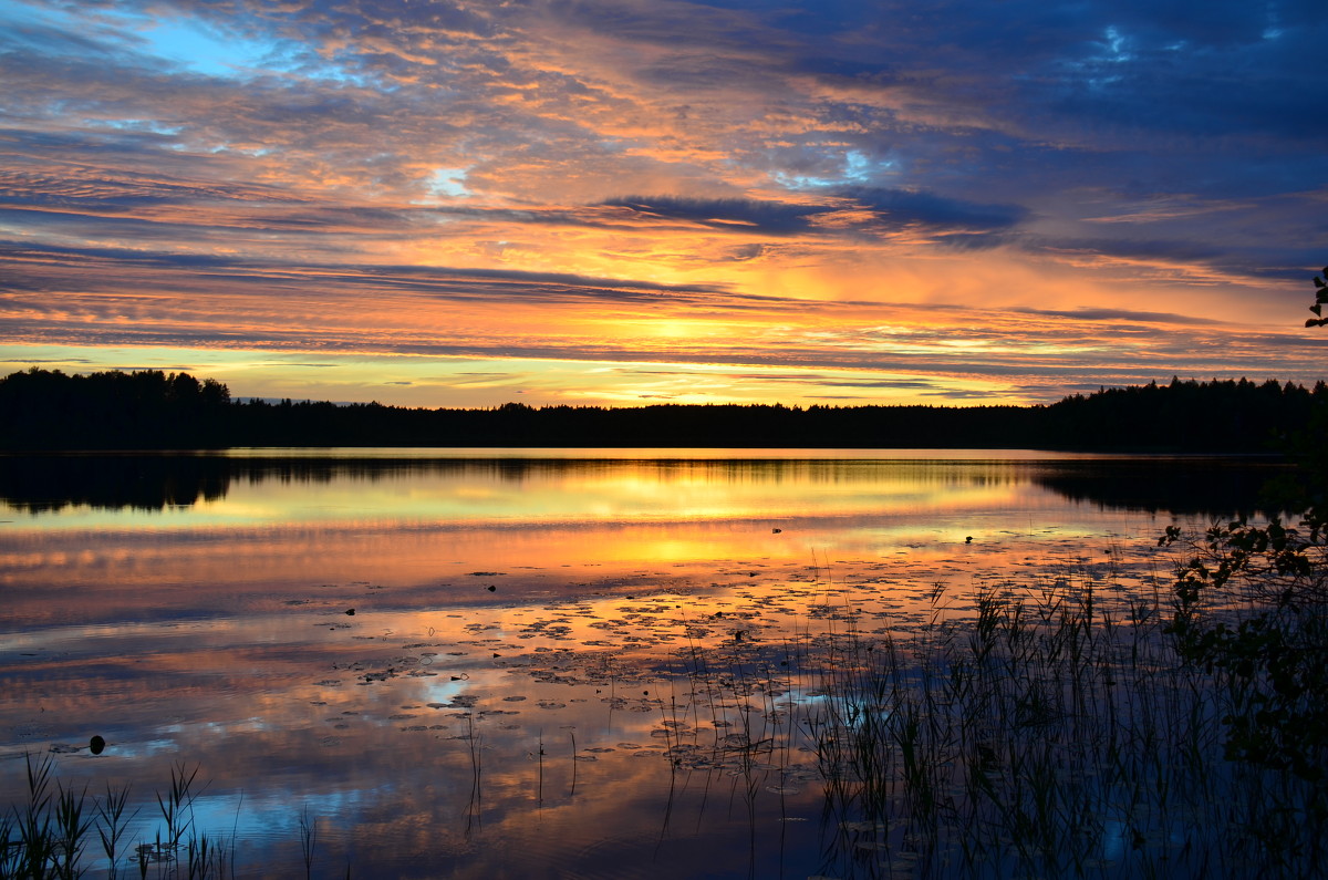 закат на лесном озере - Борис Устюжанин