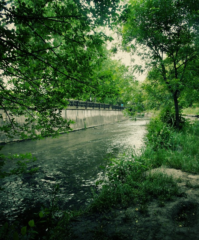 Река в парке - Настя Емельянцева