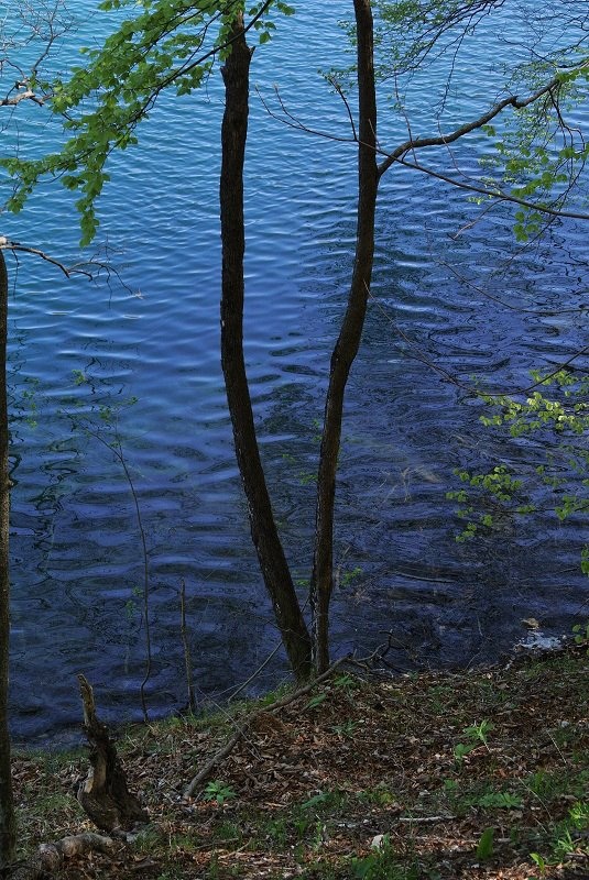 Плитвицкие озера, Хорватия - Евгений Мусияченко