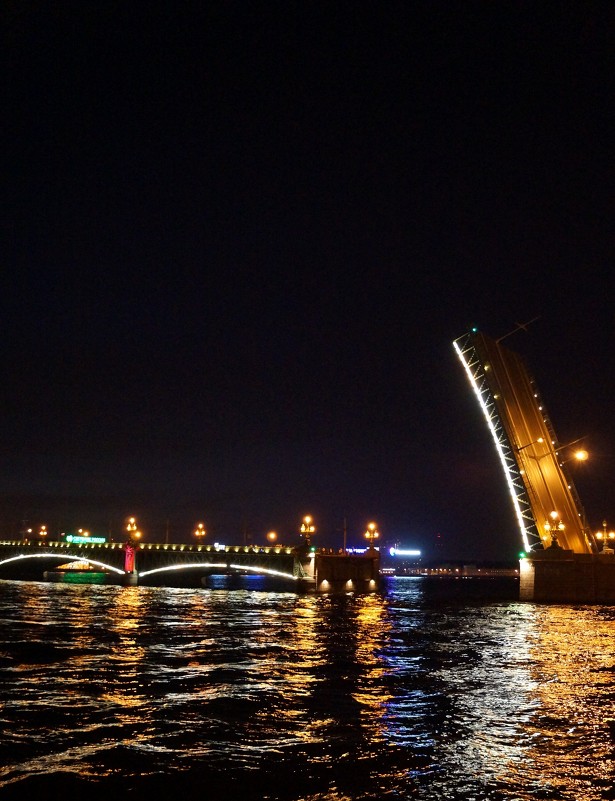 Троицкий мост. Санкт-Петербург - Лёля Анурина