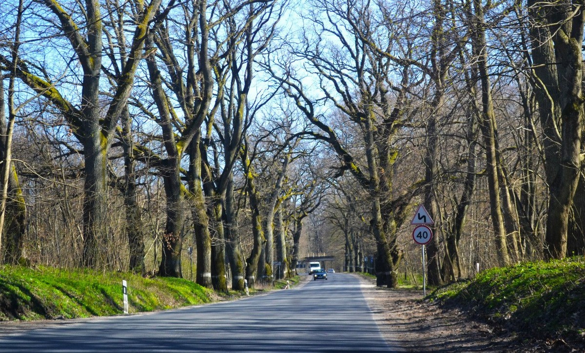 дорога - Вероника Фадеева