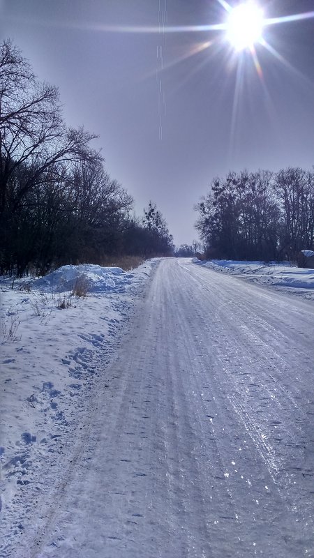 Морозно и солнечно. - Татьяна Тумина