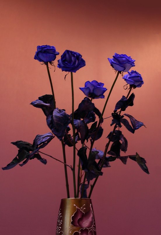 Про цветы и вазу - Виктор Коршунов