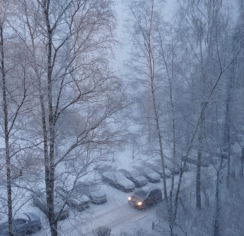 Утро,зима и снег. - Владимир Гилясев
