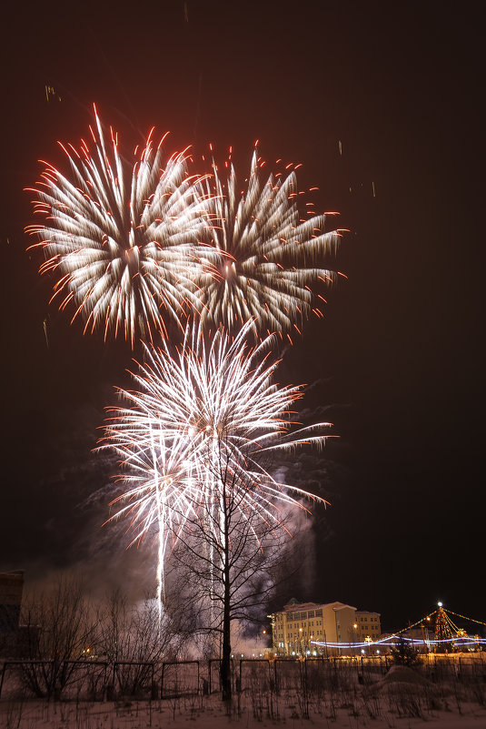 fireworks - Aleksandr Tishkov