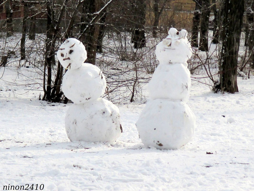 Ростов-на-Дону - Нина Бутко