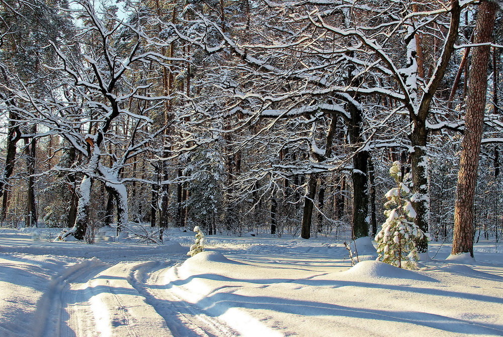 Дорога продолжается дорогой... - Лесо-Вед (Баранов)