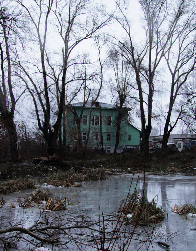 Дом на берегу пруда - Диана Коновалова
