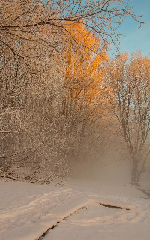 Первые лучи - Флюра Дудина