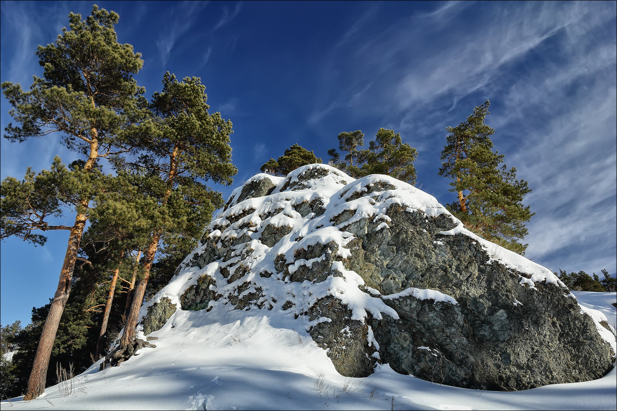 Сосны, снег и скалы - Николай 