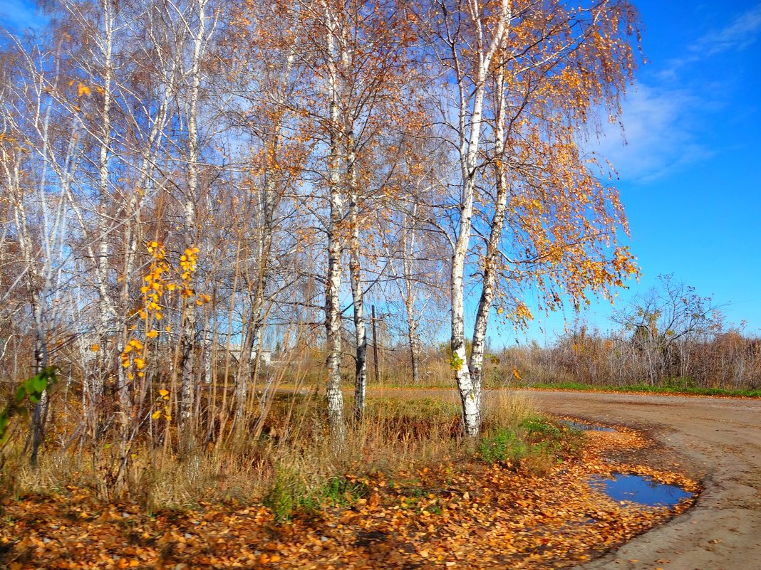 Осень - Александр 