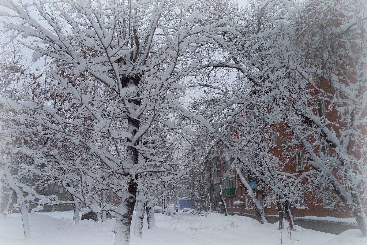 Кружева - Лариса Карпушина