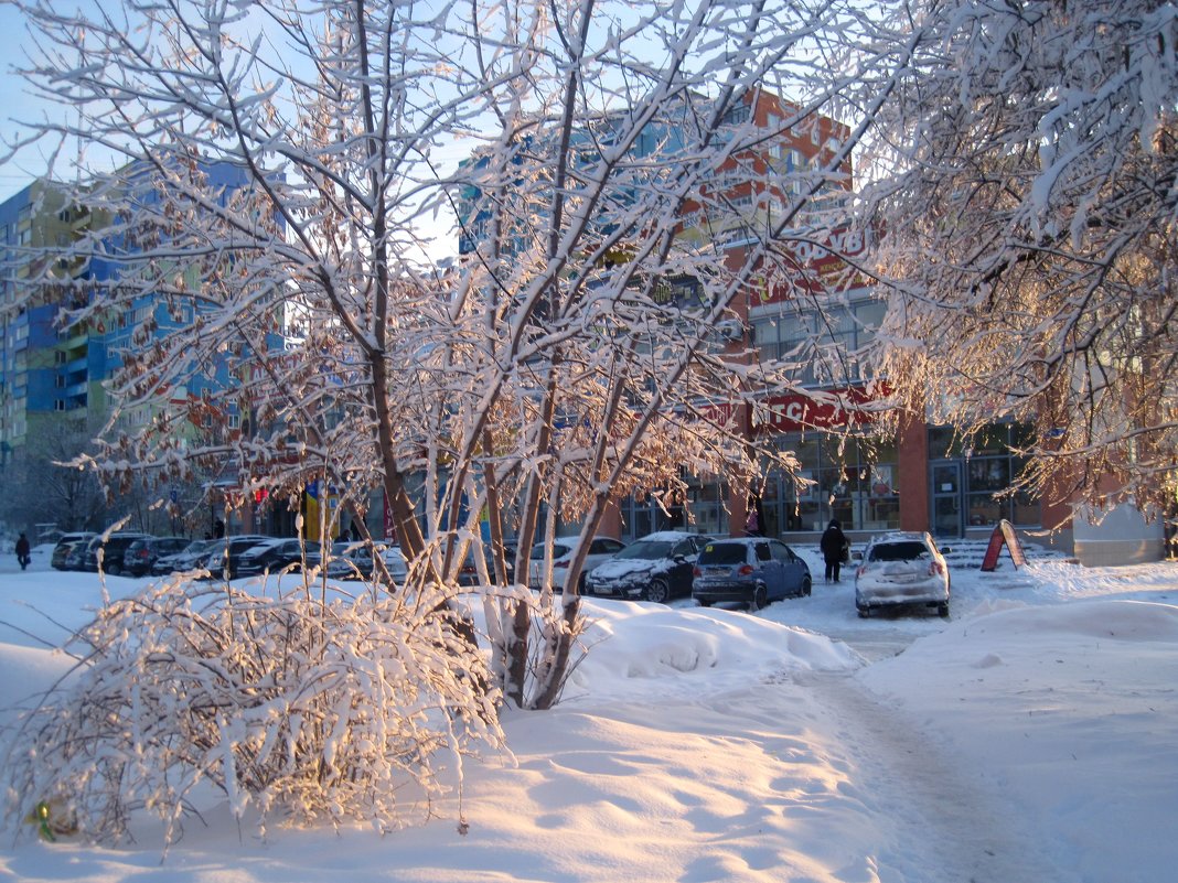 Сияние зимы - Елена Семигина