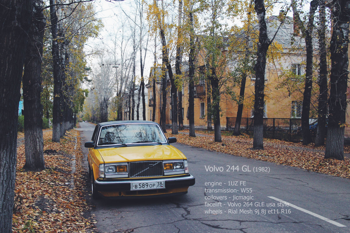 Volvo 244 (осень 2015) - Людмила Габибуллаева