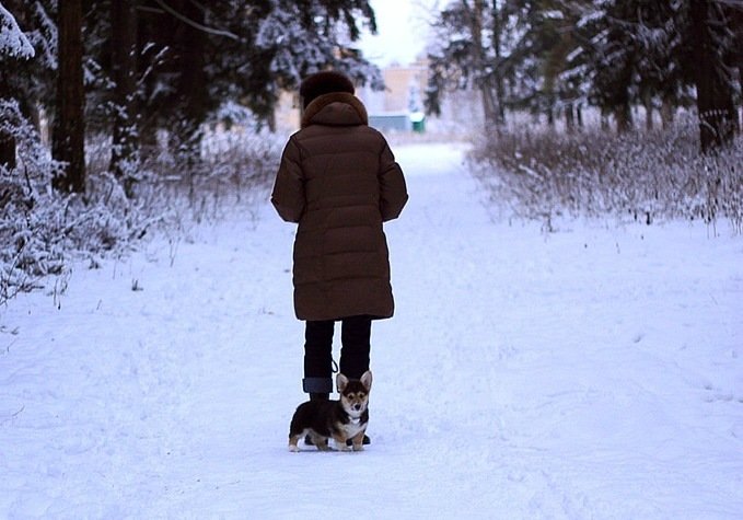 прогулка в лесу - Alena Karpova