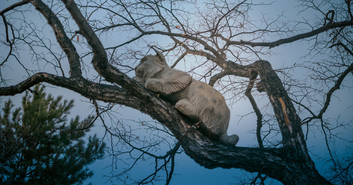 кот на дереве - Павел Руднев