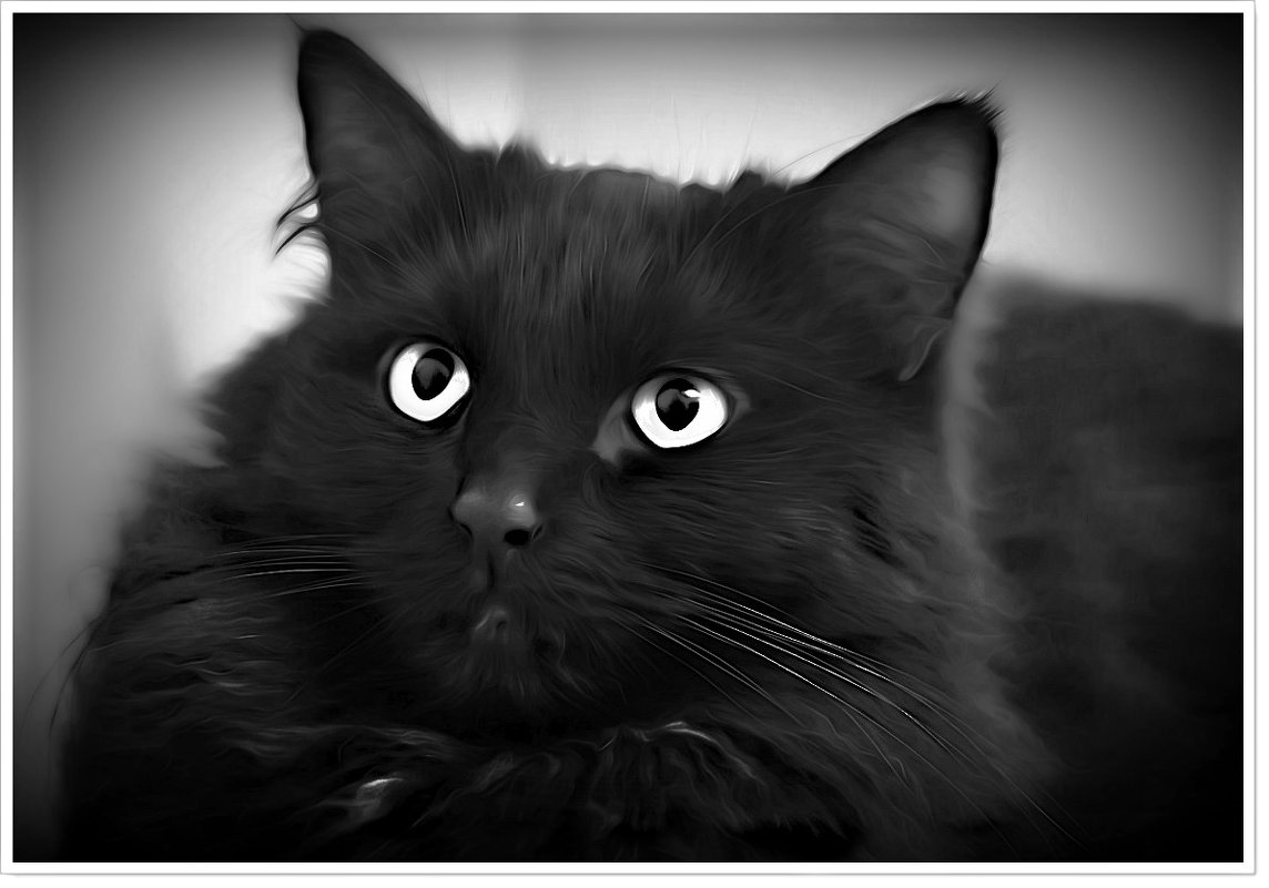Жил да был чёрный кот.... - Любовь Чунарёва