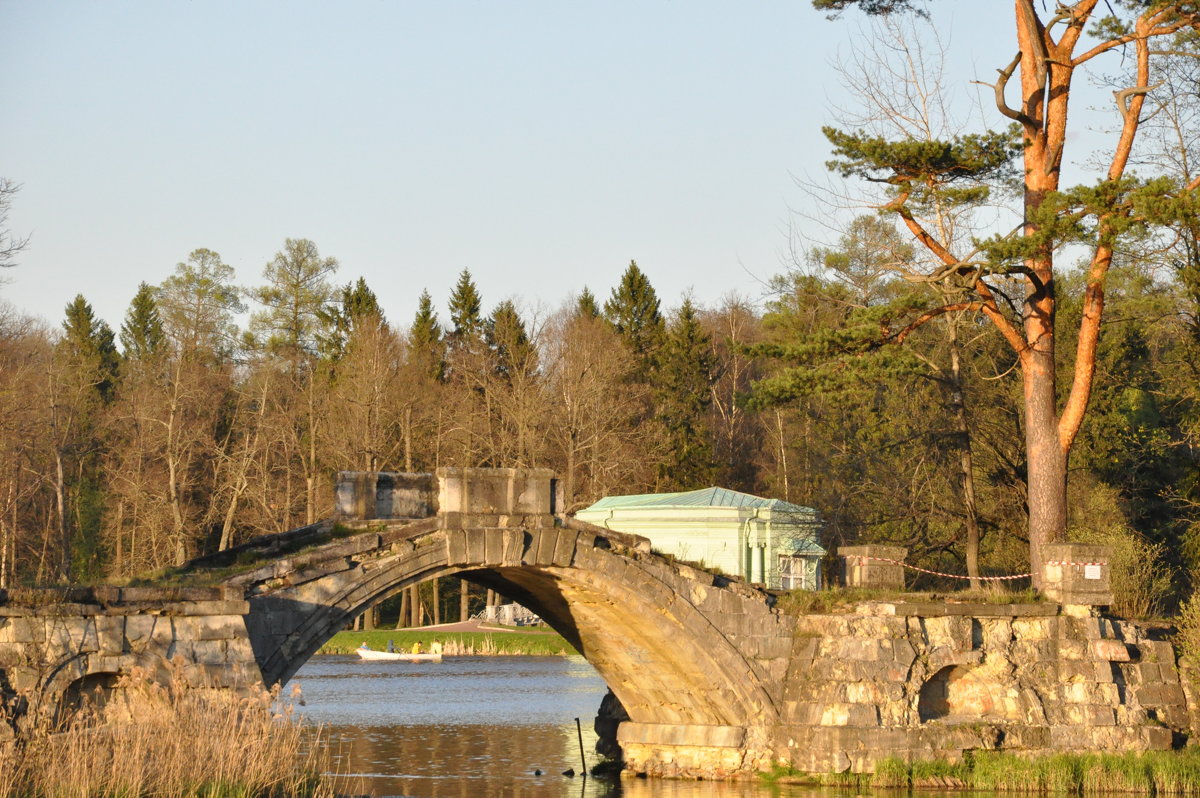 Старый мост в дворцовом парке. - Галина Бельченко