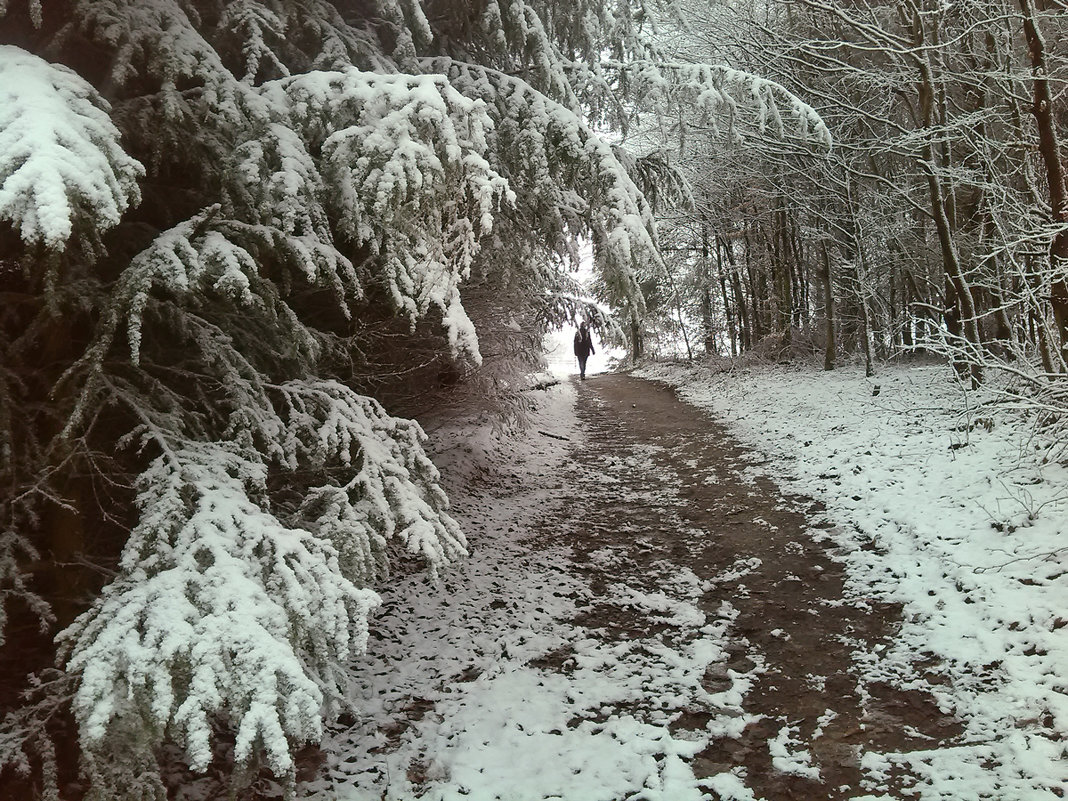 В зимнем лесу - Леночка .