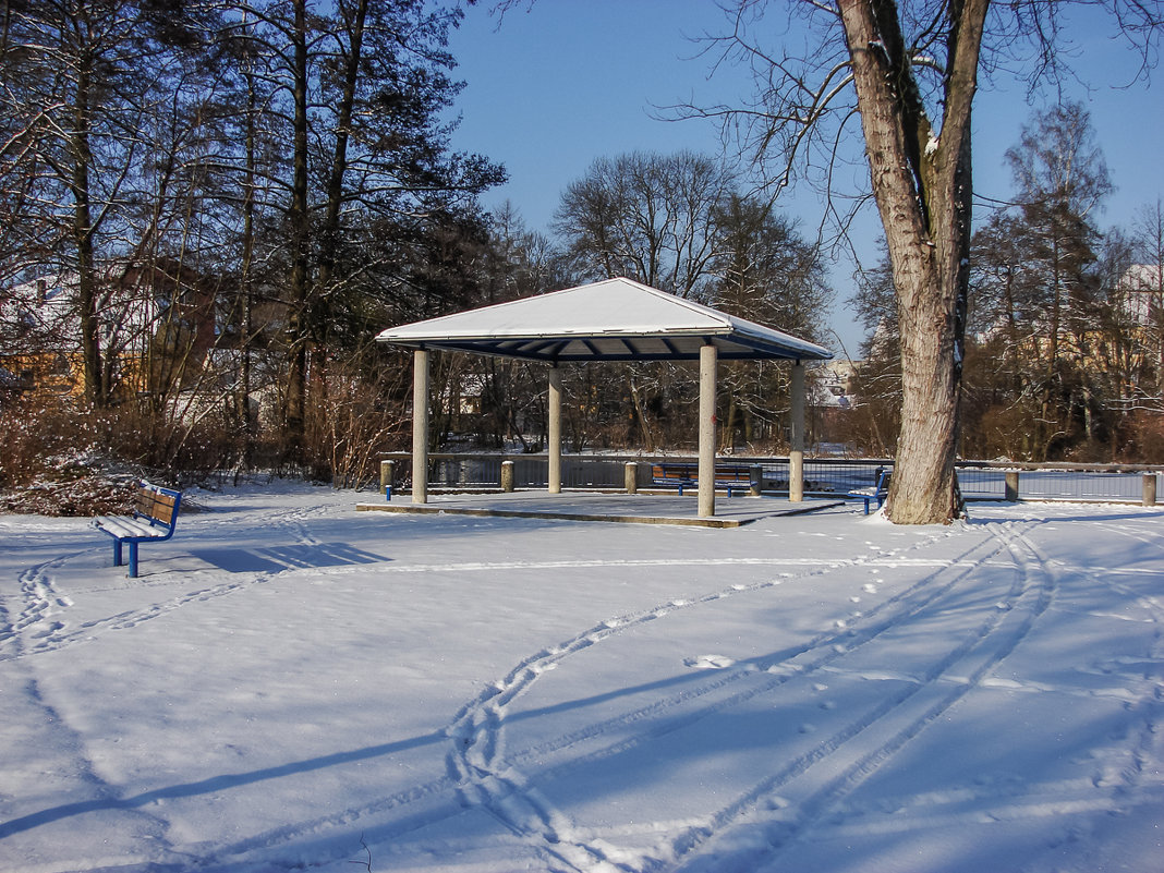 В городском  парке, -20 - Waldemar .