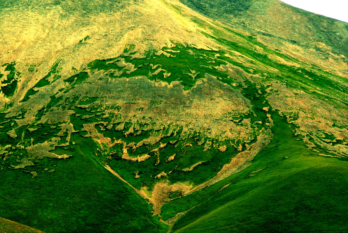 mountain heart.....սարի սիրտը - movses 