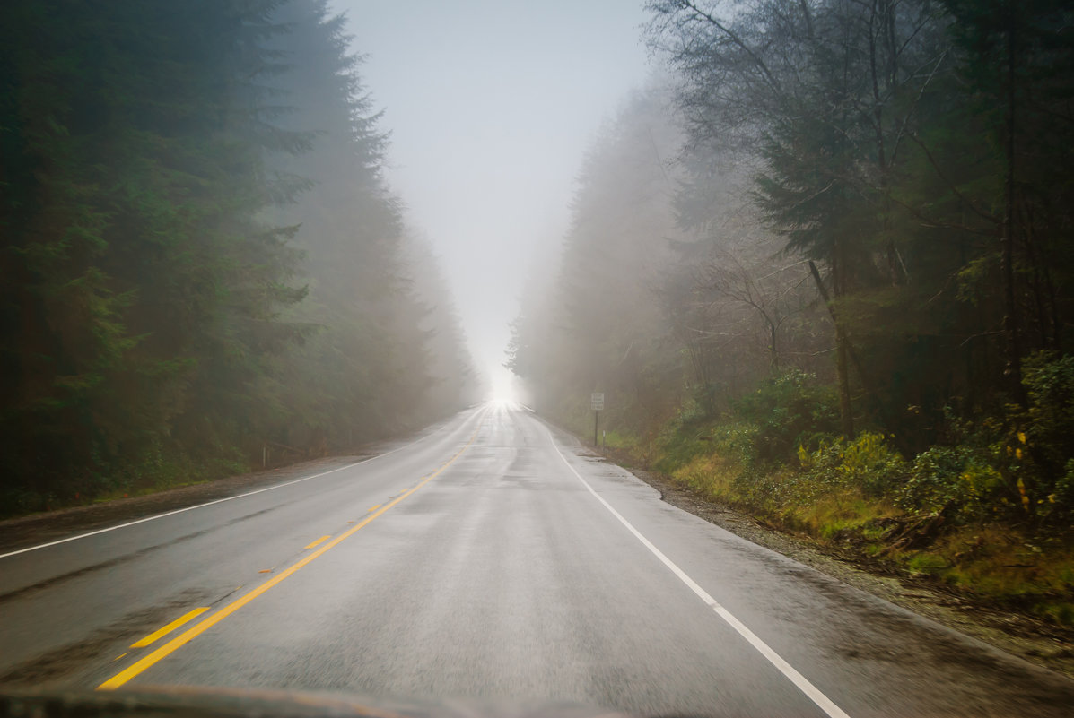 В тумане на шоссе 101 США - Михаил Аверкиев