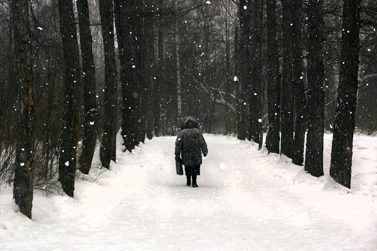 Снегопад - Сергей Добрыднев
