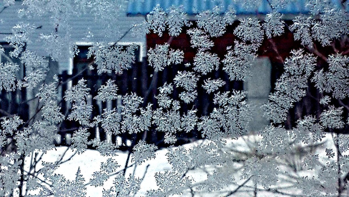 Мороз рисует на стекле снежные узоры! - Михаил Столяров