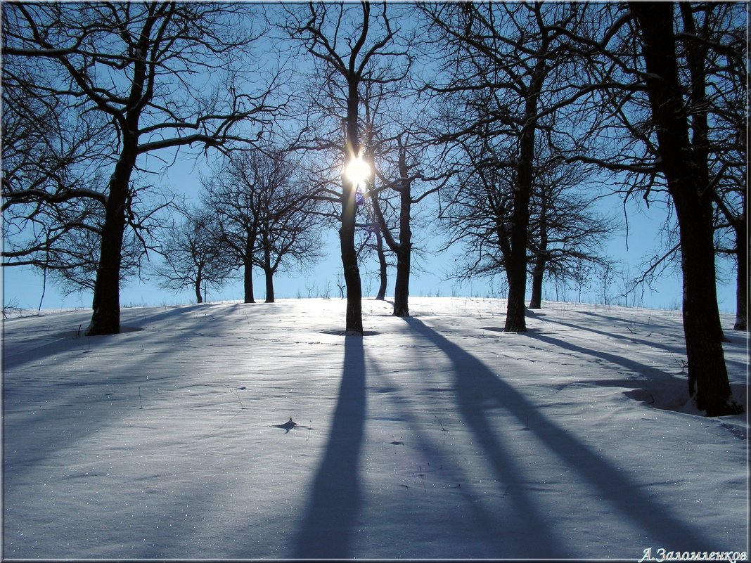 Ложатся тени на снежок... - Андрей Заломленков