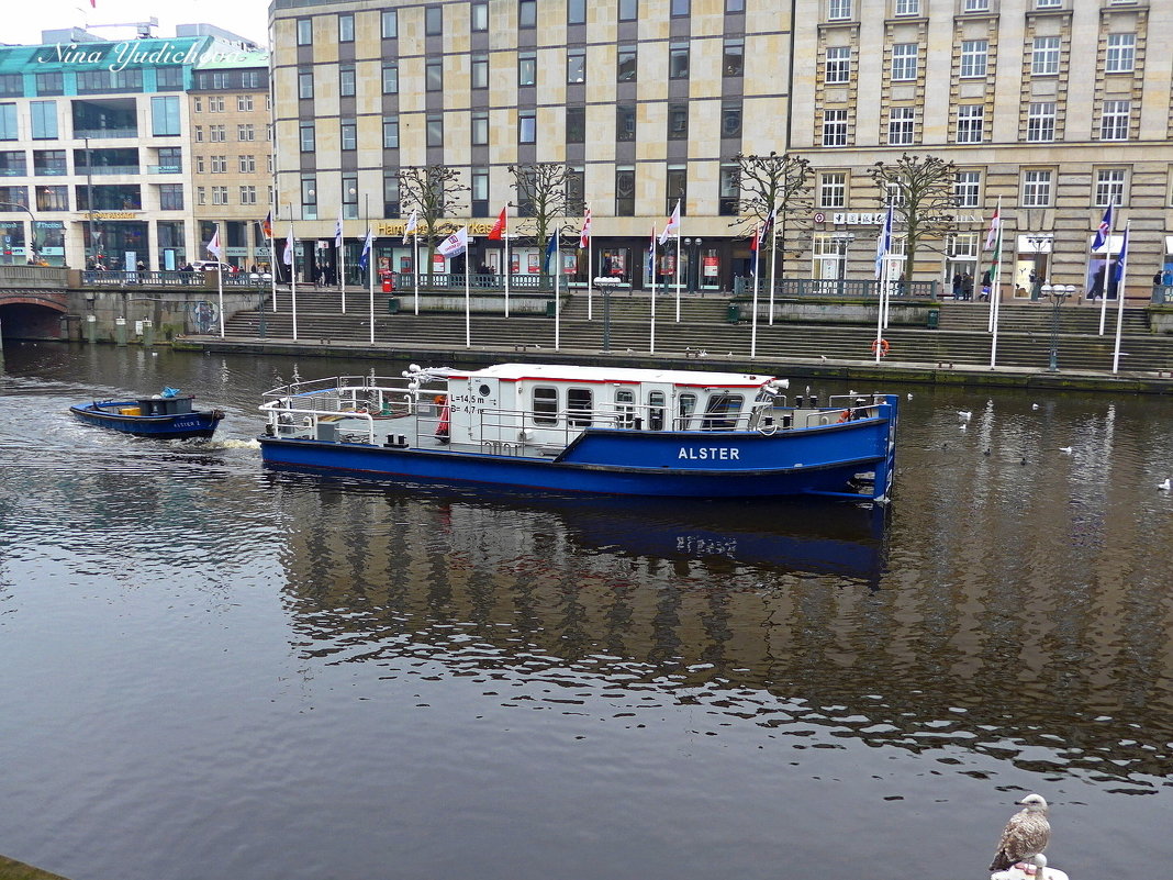 Alster. Hamburg - Nina Yudicheva