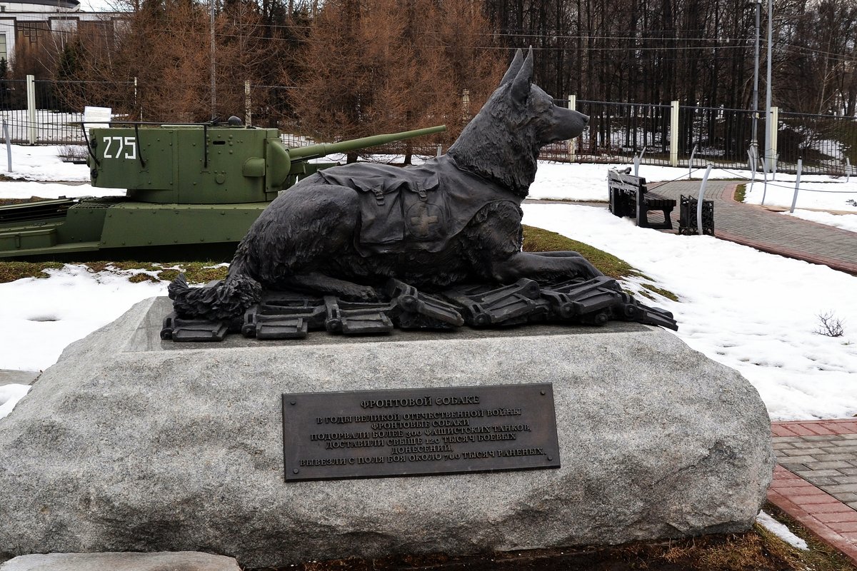 Памятник фронтовой собаке - Владимир Болдырев