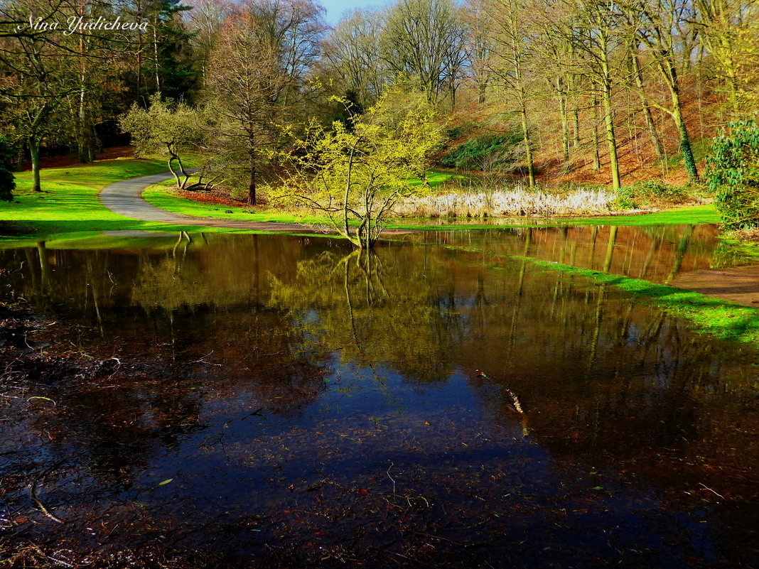 Hamburg. Meyers Park - Nina Yudicheva