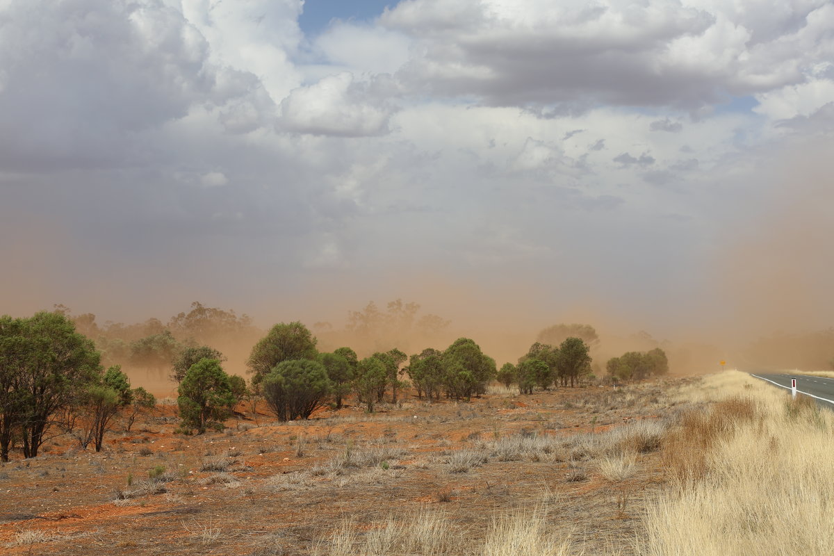 Буря в пустыне.Австралия - Антонина 