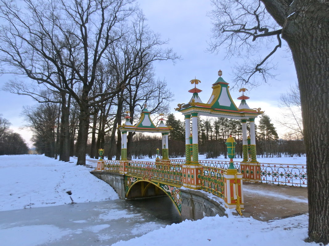 китайский мостик в Пушкине - Елена 