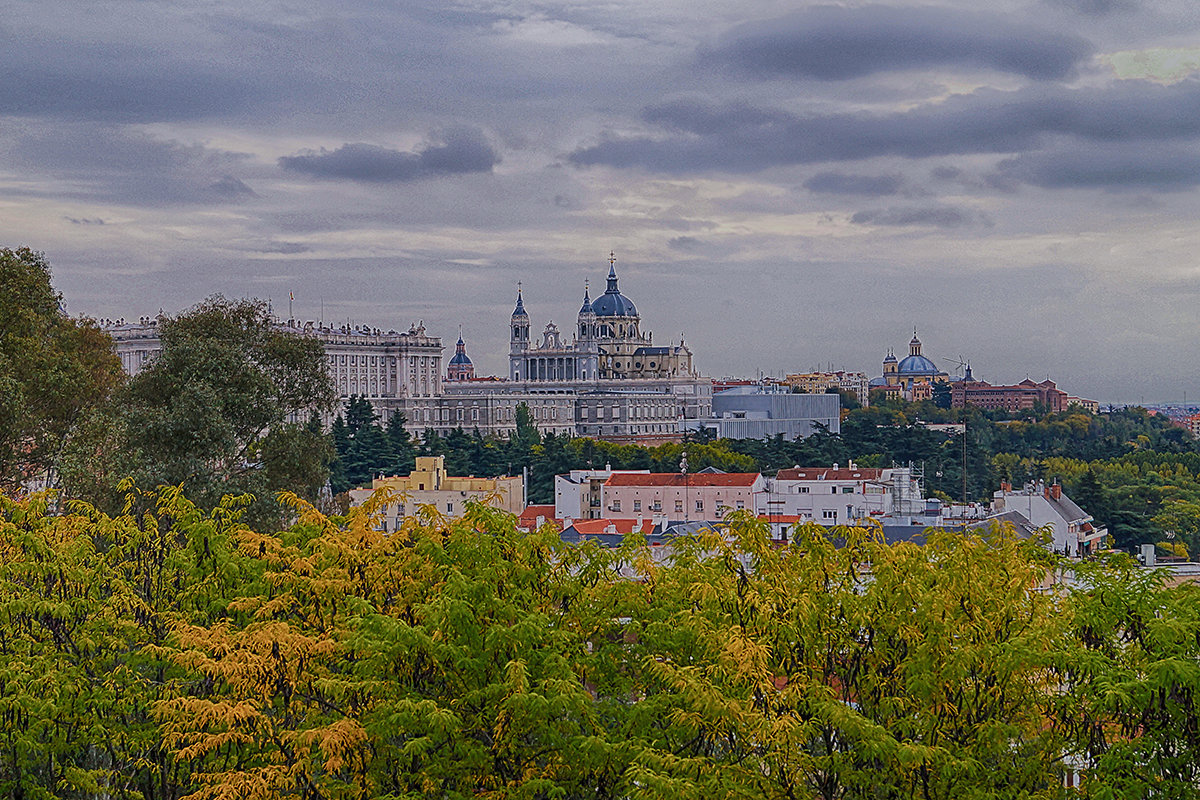 Madrid - Alex 