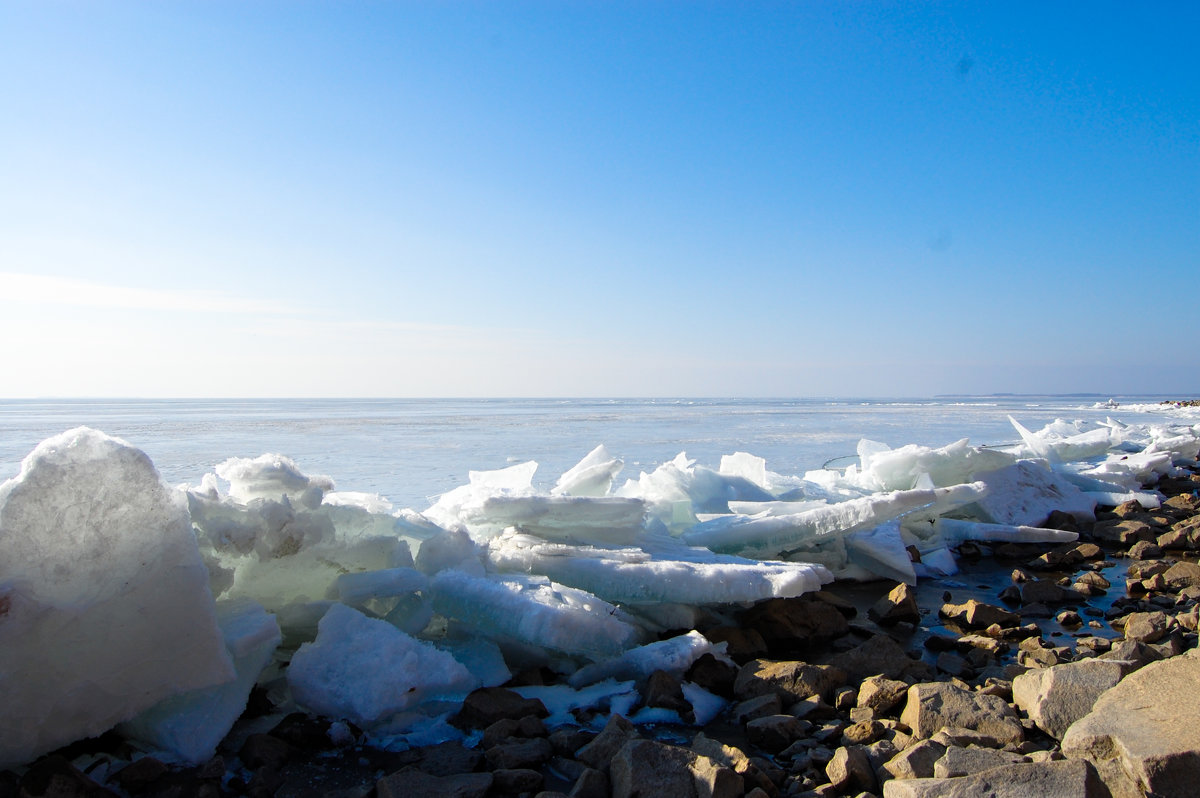 Водохранилище Кременчугское - Елена 