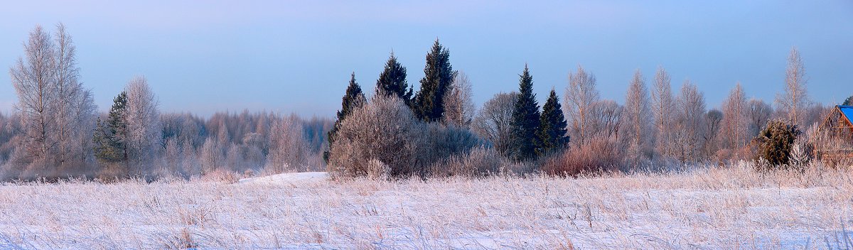 Зимний лес-панорама - Бронислав Богачевский