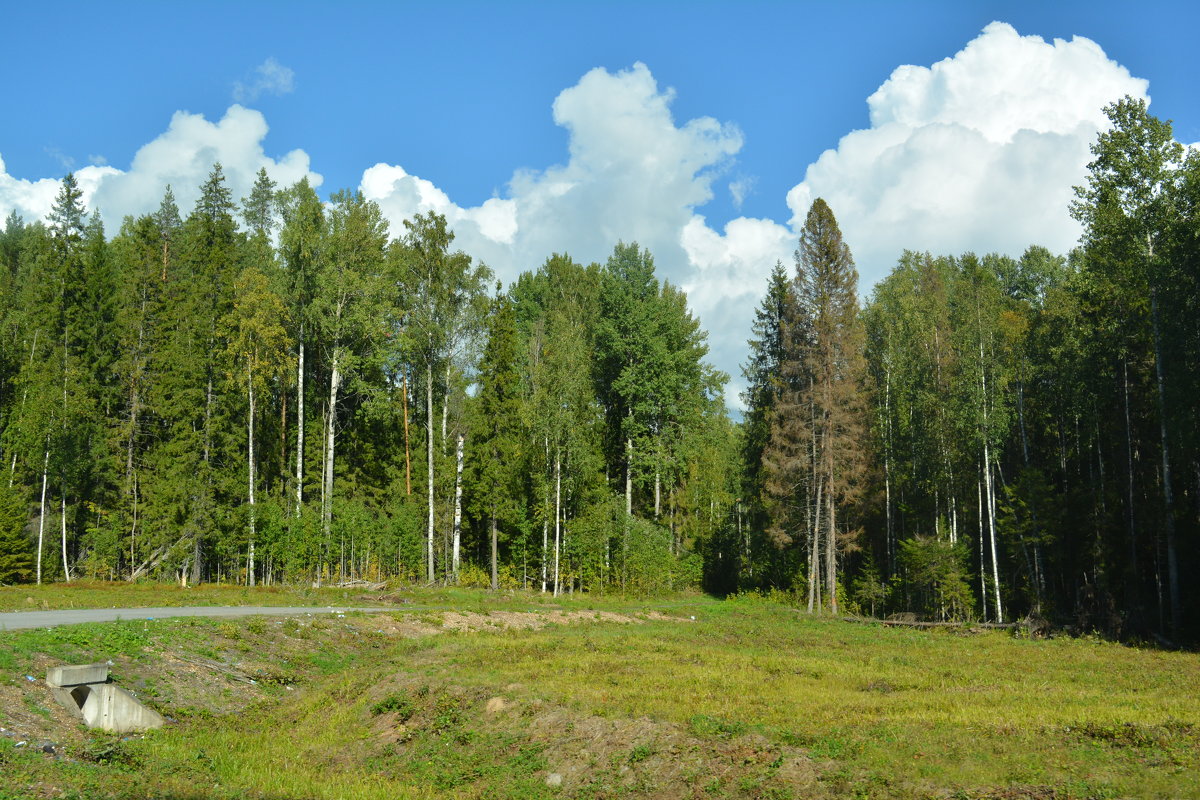 Карелия - Светлана Ларионова