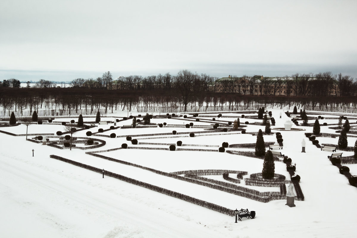 Вид на зимний парк - Aнна Зарубина